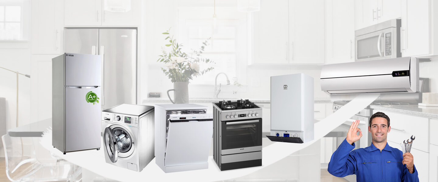 Ceylanpınar Vaillant Servisi